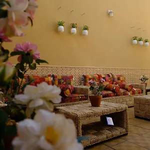  فيلة جوراق المملكة العربية السعودية